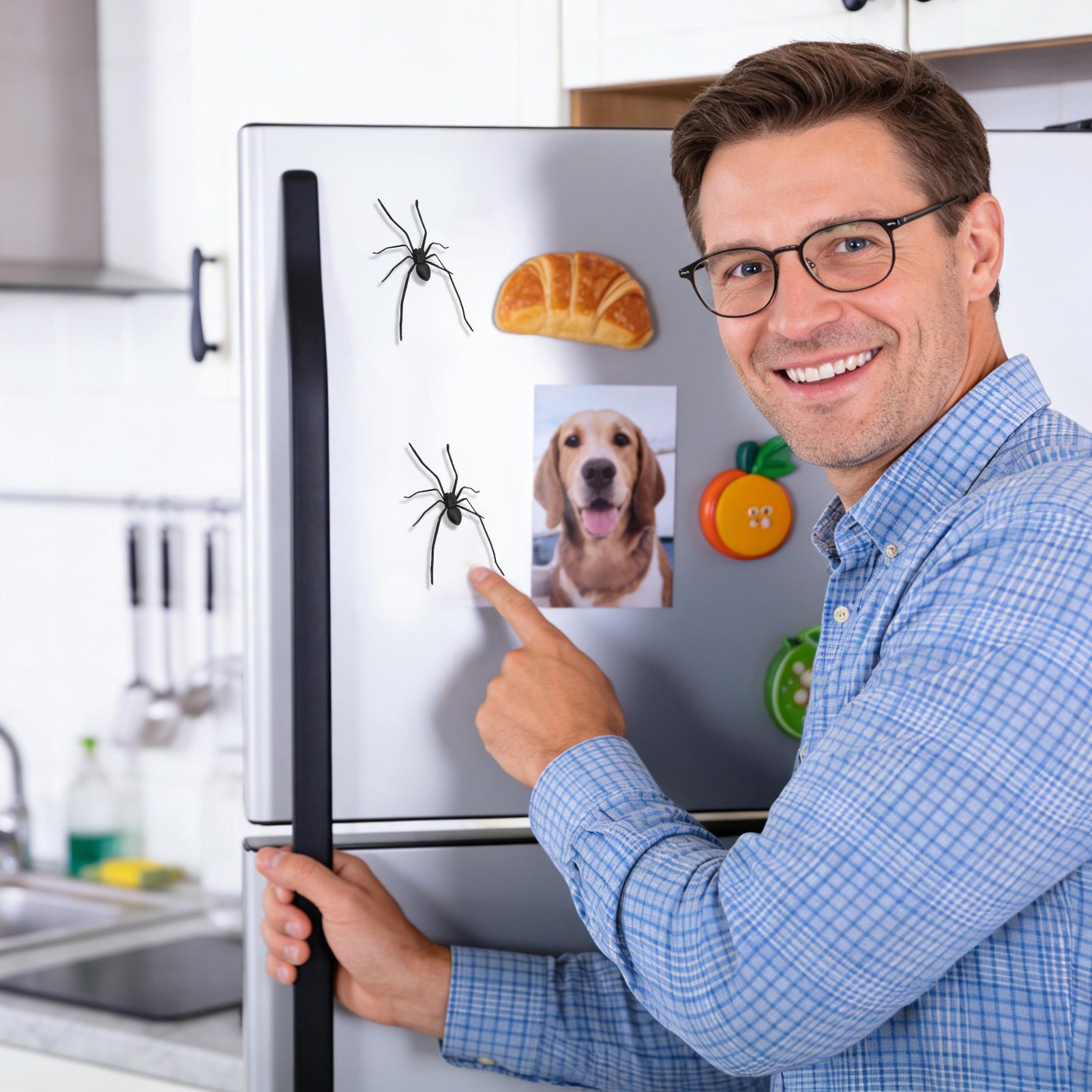 แม่เหล็กติดตู้เย็นรูปแมงมุม อุ - Home Office Tech Gadgets บทวิจารณ์และราคา